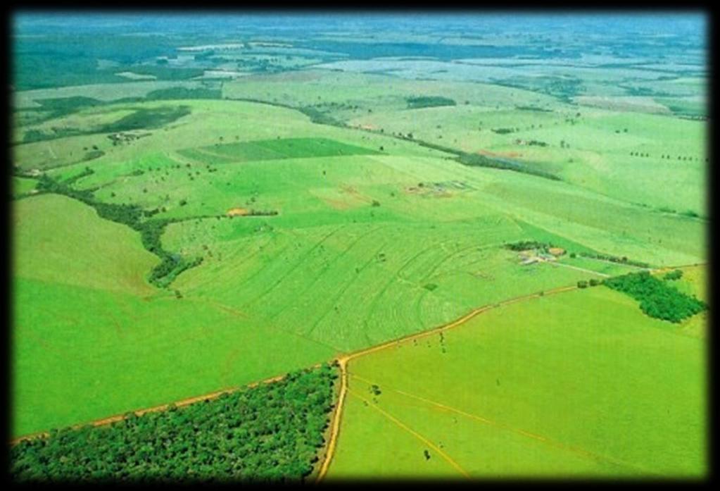 Pastagens: 110 milhões de hectares Agricultura: Invasão das áreas de pastagem 25 milhões de hectares até 2015 Intensificação