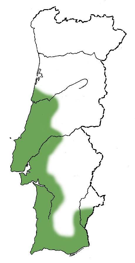 Área: 1120 km 2 60% área florestal Principais espécies: