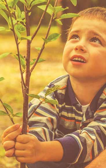 sustentabilidade Harmonia com o Meio Ambiente Promoveremos a sustentabilidade do nosso negócio por meio da manutenção e desenvolvimento de atividades que estão em harmonia com o meio ambiente a