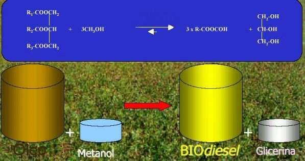 BioDiesel