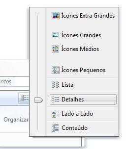 Gerenciador de arquivos do Windows: Windows Explorer Modos de exibição de arquivos numa pasta: Ícones Extra grandes, grandes, médios, pequenos.