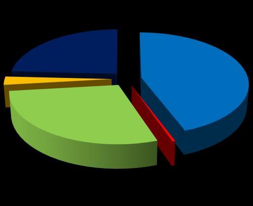 Market Share * - Santa Catarina 2,6% 24,2% 44,3% Navegantes