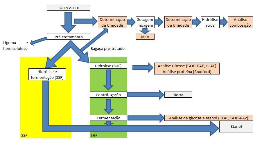 43 Figura 20 - Diagrama de blocos simplificado do procedimento experimental realizado neste trabalho para produção de etanol 2G em escala de bancada a partir do BCA.