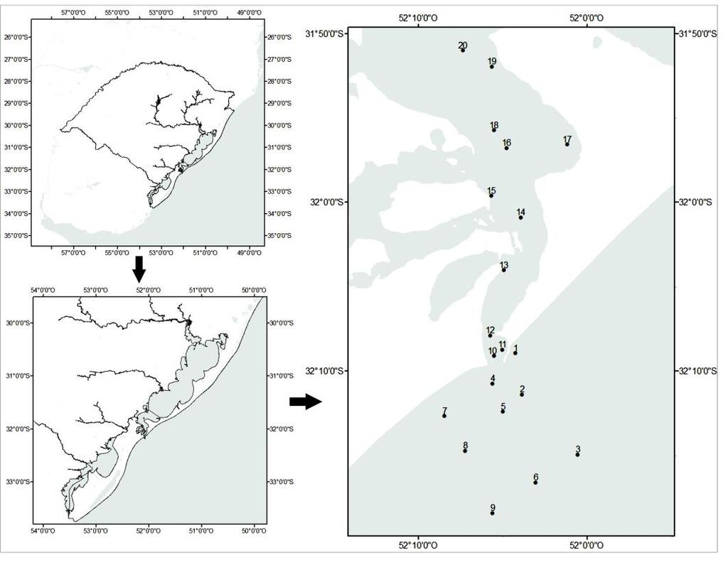 Biologia reprodutiva do siri-azul Callinectes sapidus no estuário.