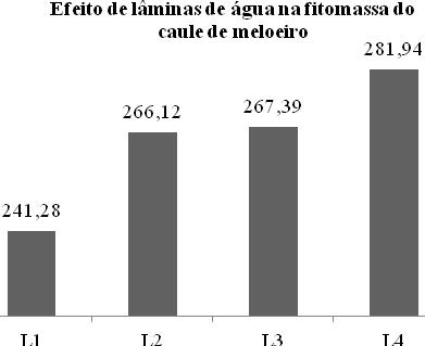 REFERÊNCIAS BIBLIOGRÁFICAS AZEVEDO, B. M.; BASTOS, F. G. C.; VIANA, T. V. A.; RÊGO, J. L.; D ÁVILA, J. H. Efeitos de níveis de irrigação na cultura da melancia.