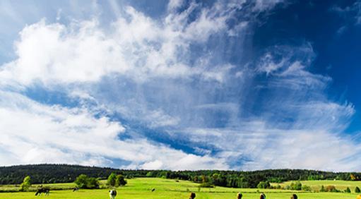 ATIVIDADES PIB do Agronegócio ESTADO DE MINAS GERAIS NOVEMBRO/2016 DENTRO DA PORTEIRA Oconjunto das atividades primárias agrícolas apresenta expressivo crescimento de 28,02% no acumulado de janeiro a