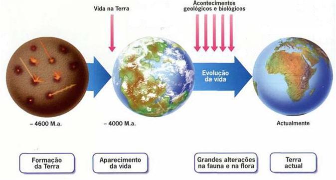 A Terra é o único planeta conhecido que apresenta características indispensáveis para a existência de vida.