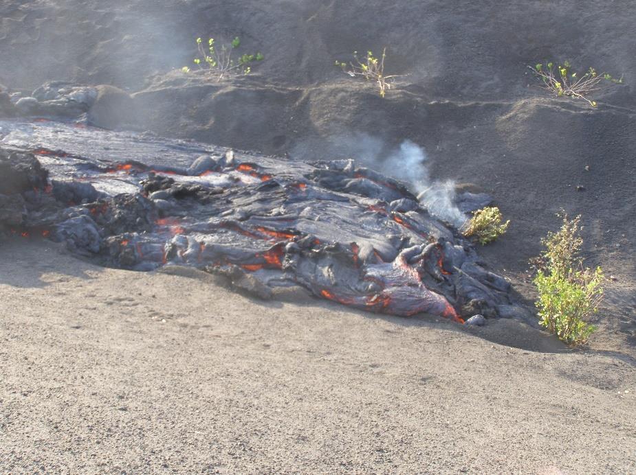 Figura 5. Percurso feito pela escoada em direção a Ilhéu de Losna, dia 18 Dezembro de 14. A lava contornou algumas elevações existentes nesta localidade para além de soterrar alguns campos de cultivo.