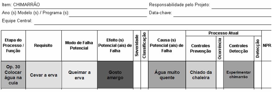 FMEA (1ª etapa): IDENTIFICAR OS RISCOS Figura 3 Exemplo de