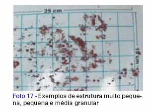 Granular - as partículas estão arranjadas