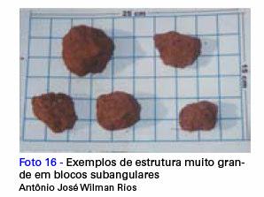 Blocos subangulares -