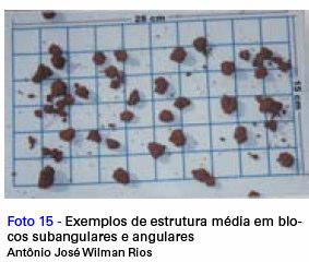 planas e arredondadas, com