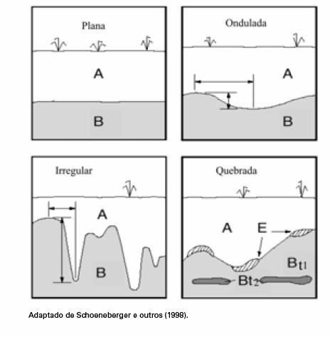 Quanto a topografia pode ser: