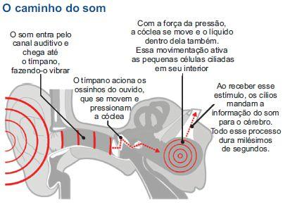 Aulas 34 e 35 1) Num experimento de laboratório, um corpo é preso a uma mola que executa um movimento harmônico simples na direção vertical, com período de 0,20s.