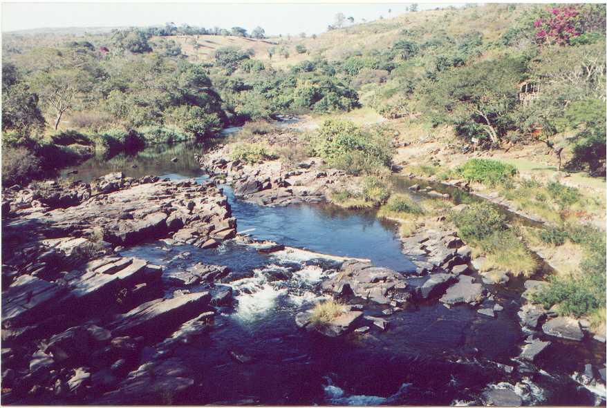 Ecologia e Conservação de Ambientes