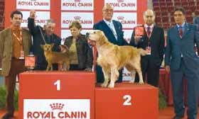 excelente organização e divulgação por parte da Royal Canin. A juiz convidada pelo CPC para esse prestigioso evento foi a Israelita Agnes Ganami Kertes.