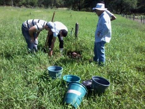 (a) (b) (c) As coletas de solo foram realizadas bimestralmente, tendo início em maio de 2013 e término em abril de 2014, totalizando seis campanhas de coletas.