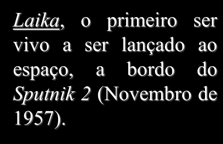 importante, que era possível colocar