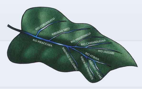 BACIA HIDROGRÁFICA Conjunto de terras drenadas por um rio principal, seus afluentes e subafluentes.