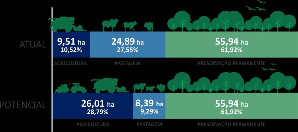 Potencial de Desenvolvimento de Mato Grosso: Crescimento com sustentabilidade Área Agrícola Atual x Potencial (Milhões de