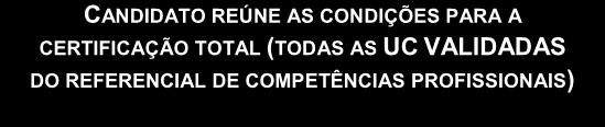 ETAPA DE CERTIFICAÇÃO CERTIFICADO DE QUALIFICAÇÃO PROFISSIONAL Figura 12. Certificação de competências profissionais.