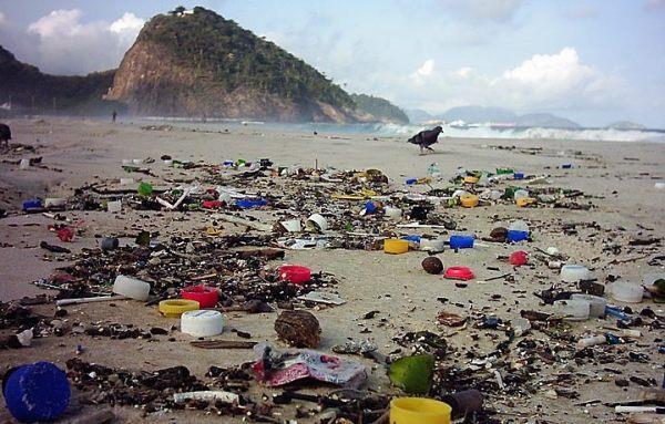 Poluente e Contaminante Toda e qualquer