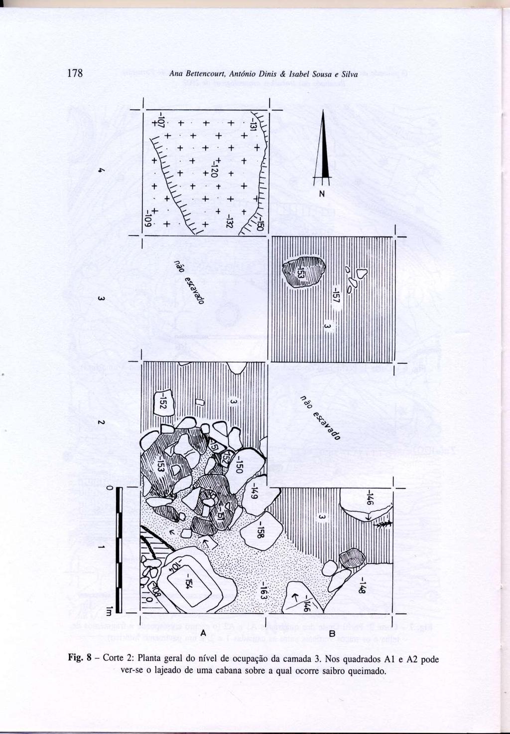 Fig. 8 - Corte 2: Planta geral do nível de ocupação da camada 3.