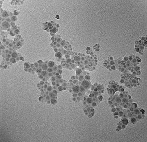5 - Morfologia das nanocápsulas de PMMA