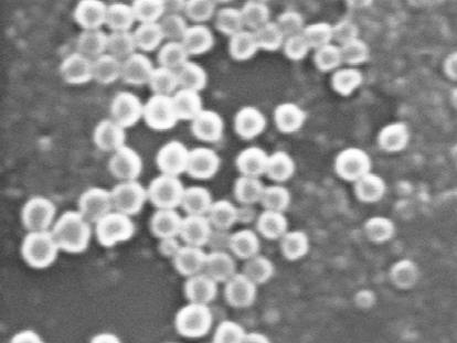 nanocápsulas de PMMA produzidas com