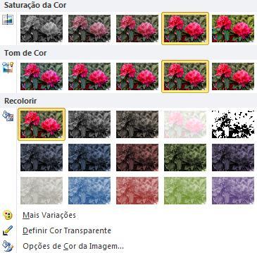 Imagem original de flores rosas Mesma imagem com Saturação de cor de 66% Mesma imagem com efeito de Recoloração de Água Mesma imagem com efeito de Recoloração Vermelha Alterar as cores de uma imagem