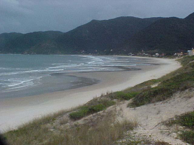 Uma das principais características morfológicas deste setor da praia é a presença de feições rítmicas, com cúspides e megacúspides ocorrendo junto à barras transversais e embaiamentos, onde em alguns