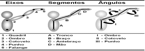 Variáveis de Estudo A partir das variáveis espaciais de deslocamento angular e tempo de realização da habilidade motora analisada, foram derivadas as variáveis de velocidade angular das articulações.