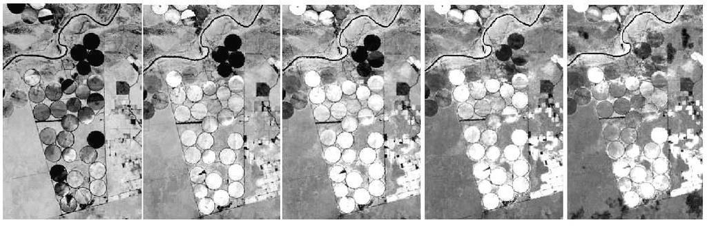 ZHAO, H. D.; LI, L. J.; QI, G. J. Identification of red and NIR spectral regions and vegetative indices for discrimination of cotton nitrogen stress and growth stage.