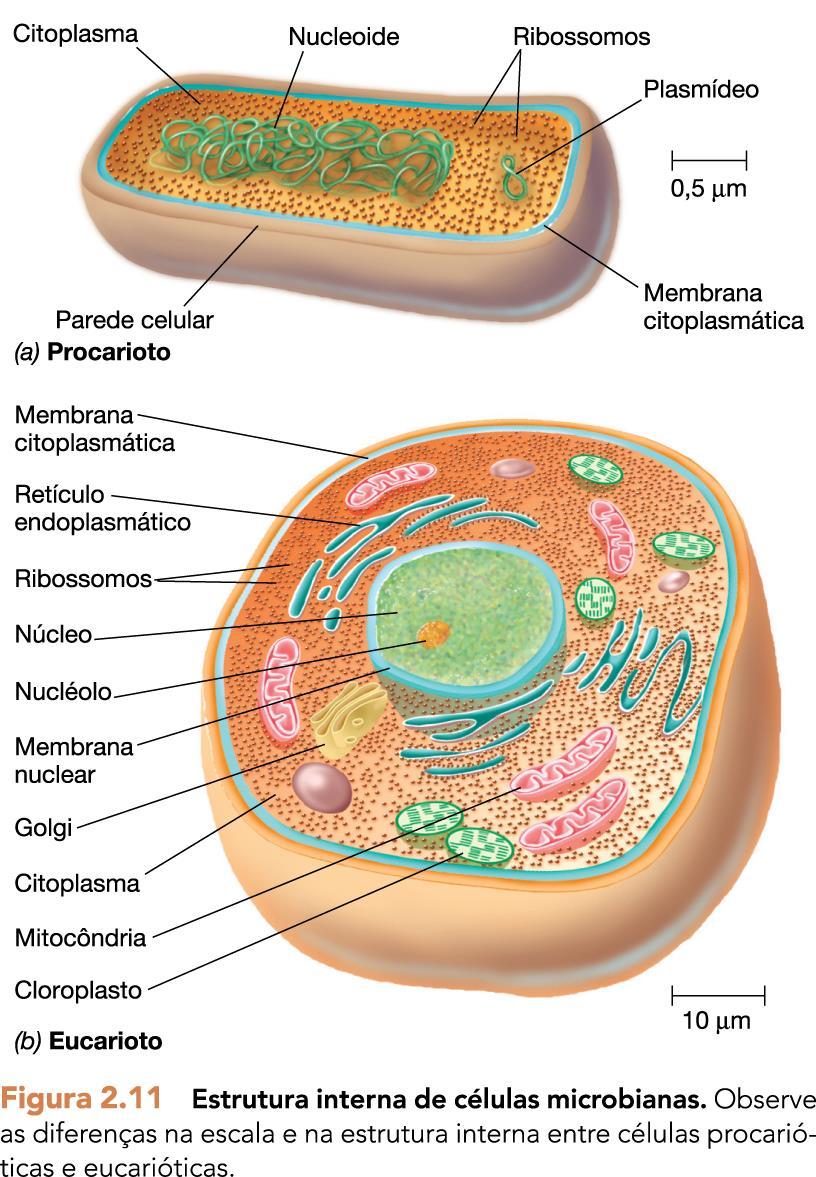 Microbiologia de Brock - Michael T.