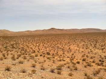 alta, presença de solo e intensa atividade orgânica Deserto: