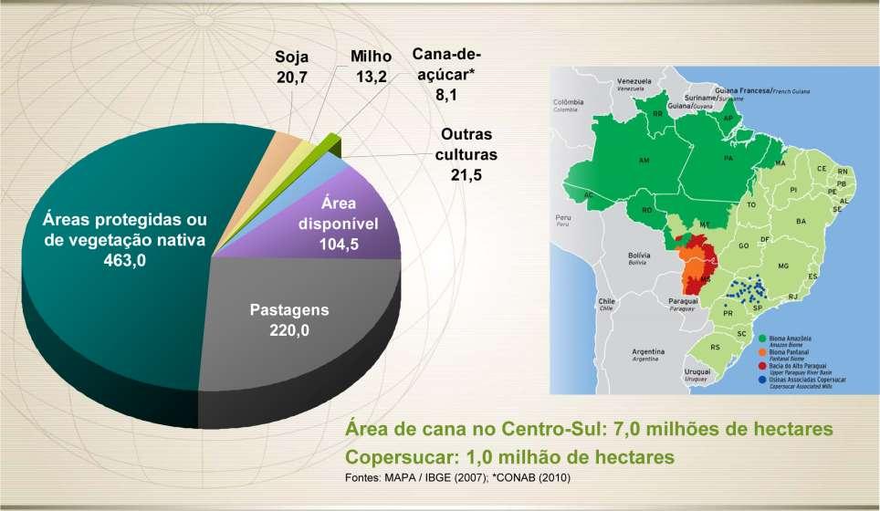 Ocupação da área no