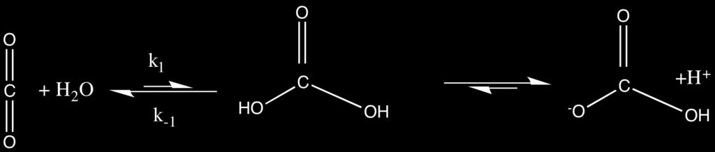 intermediário covalente. Na próxima etapa uma molécula de água ocupa o lugar do grupo amino do substrato.