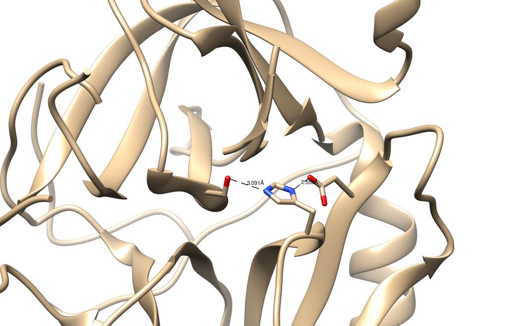 A quimotripsina emprega um nucleofico forte capaz de fazer este ataque nucleofilico. Este nucleofilo é o grupo hidroxil da cadeia lateral de uma serina extraordinariamente reativa.