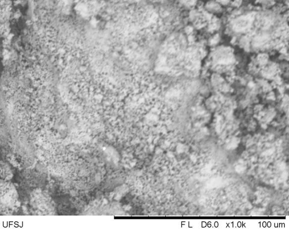 sinterizado nessa temperatura (WILLIAM D. CALLISTER, 2008). Conclusão Figura 6 - MEV de amostras de HAp sinterizadas a 1200 C por 2 horas. (a) aumento de 100X (b) aumento de 1000X.