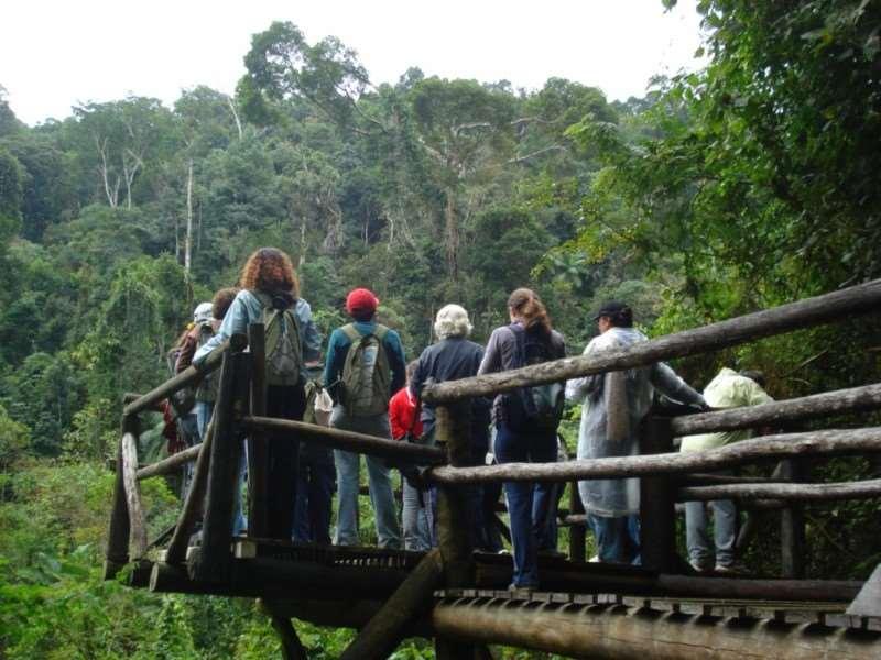 SOLO Biomassa aérea: troncos, folhas, galhos e folhiço: