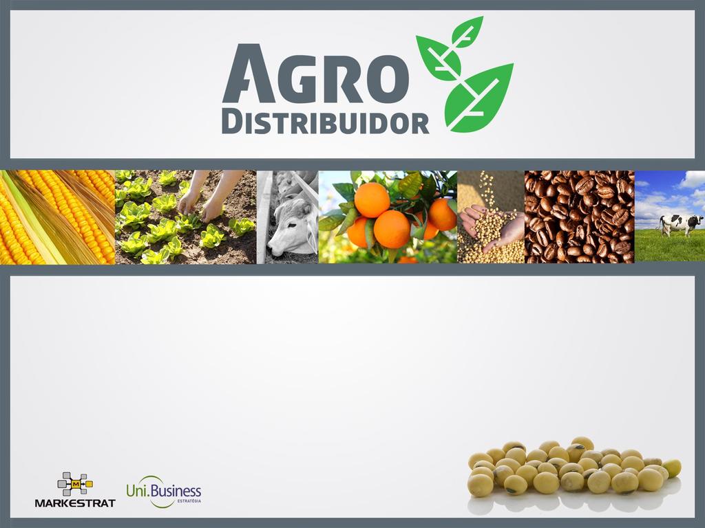 Cap 19: Desafios para Gestores na Distribuição de Insumos AGRODISTRIBUIDOR: O Futuro da Distribuição de Insumos no Brasil. São Paulo: Atlas, 2011.