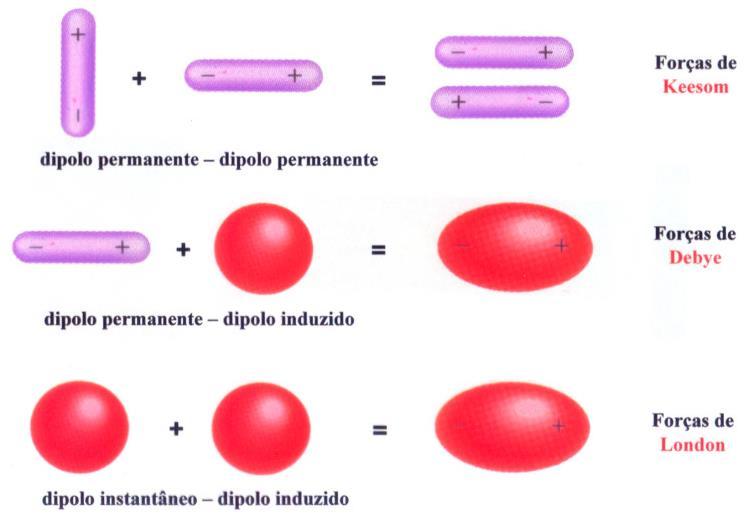 Interacções de van