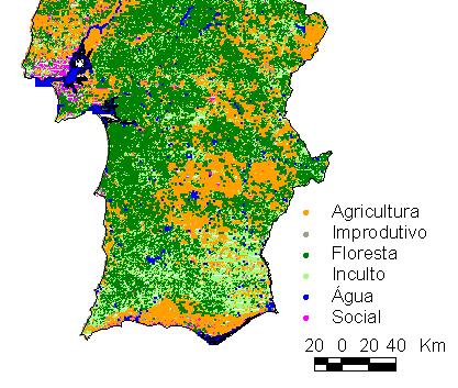 Ocupação do território Uso do Solo Área (x1000) ha Floresta 3349 Incultos 2055 Improdutivos 146 Agricultura 2973 Social 249 Águas Interiores 107 Total 8 879 A