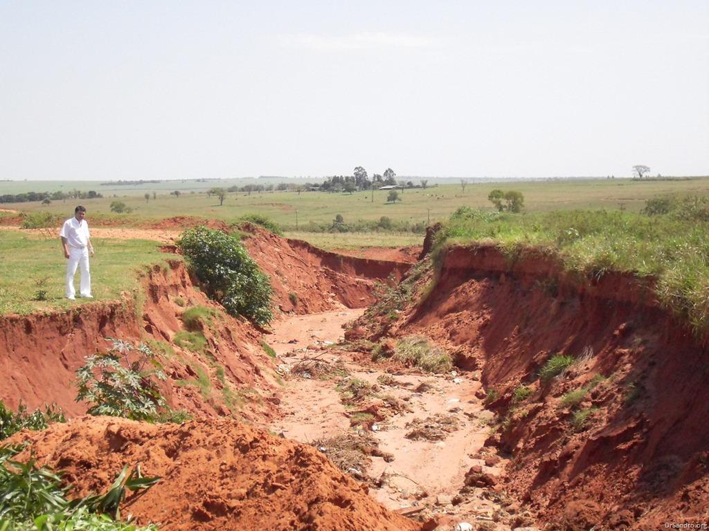 CONSEQUÊNCIAS: Perdas de solos agricultáveis