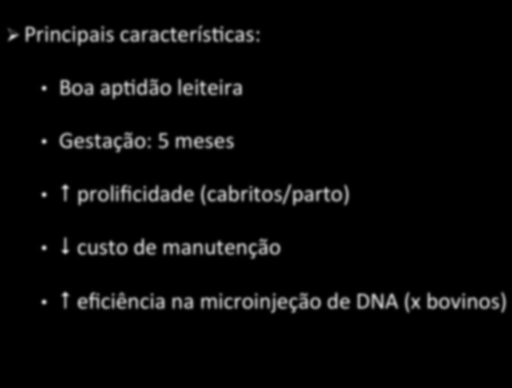 Transgênese na espécie caprina Ø Principais