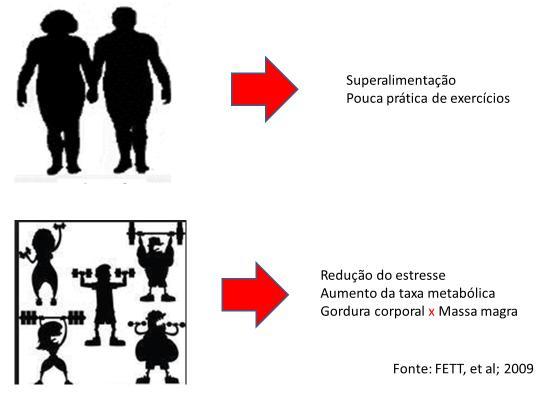 Figura 1. A importância do exercício físico na saúde das pessoas. Fonte: Fett et al. 2009.