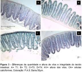 Schwarz et al.. (2016) Quanto maior o tamanho da vilosidade intestinal, maior a capacidade de absorção de nutrientes pelo animal (Junqueira & Carneiro, 2005; Moraes e Almeida, 2014).