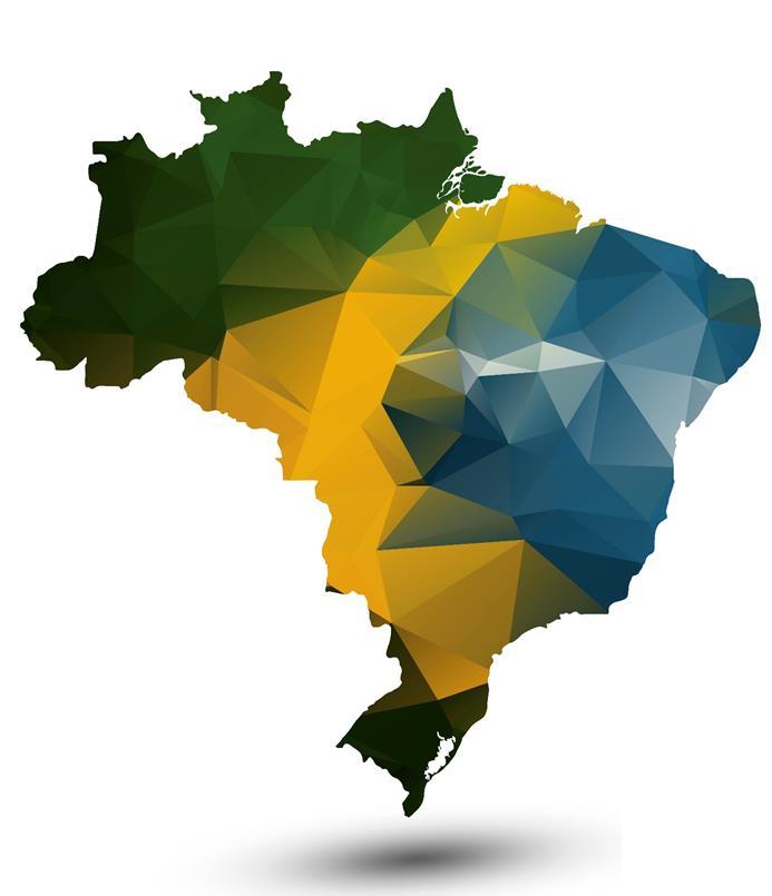 SITUAÇÃO NO BRASIL 100% 80% 85% 60% 40% 20% 0% 2006 2007