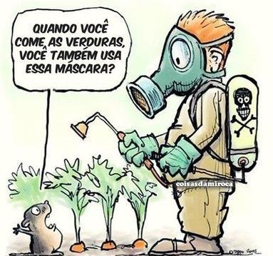 Evolução da demanda de alimentos orgânicos Os mesmos fertilizantes que começaram a provocar.