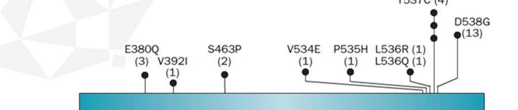 Structural diagram of the ERα